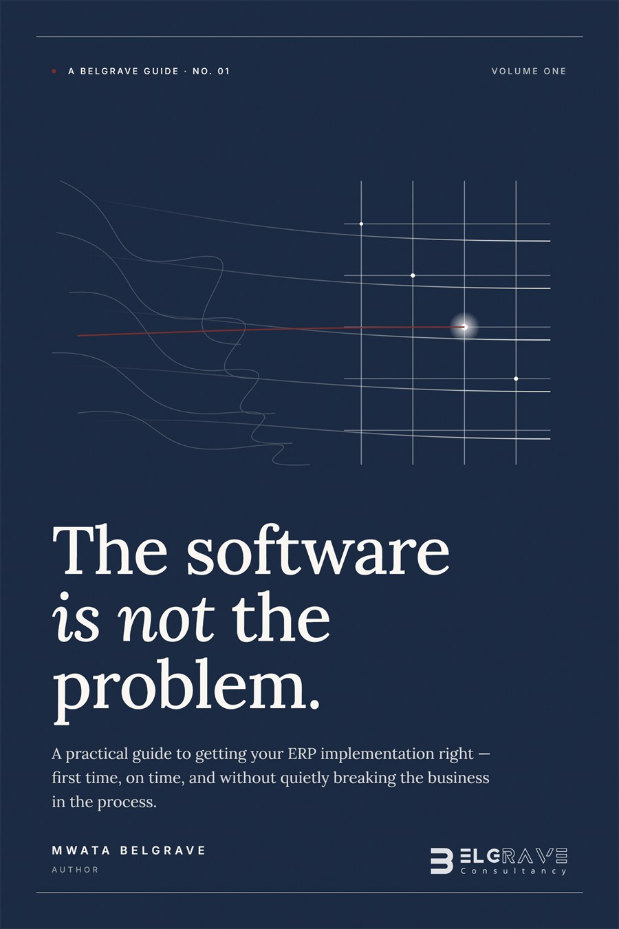 Cover of The Software Is Not the Problem, a Belgrave guide to ERP implementation